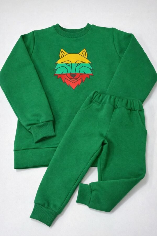 apranga su tautiniu motyvu