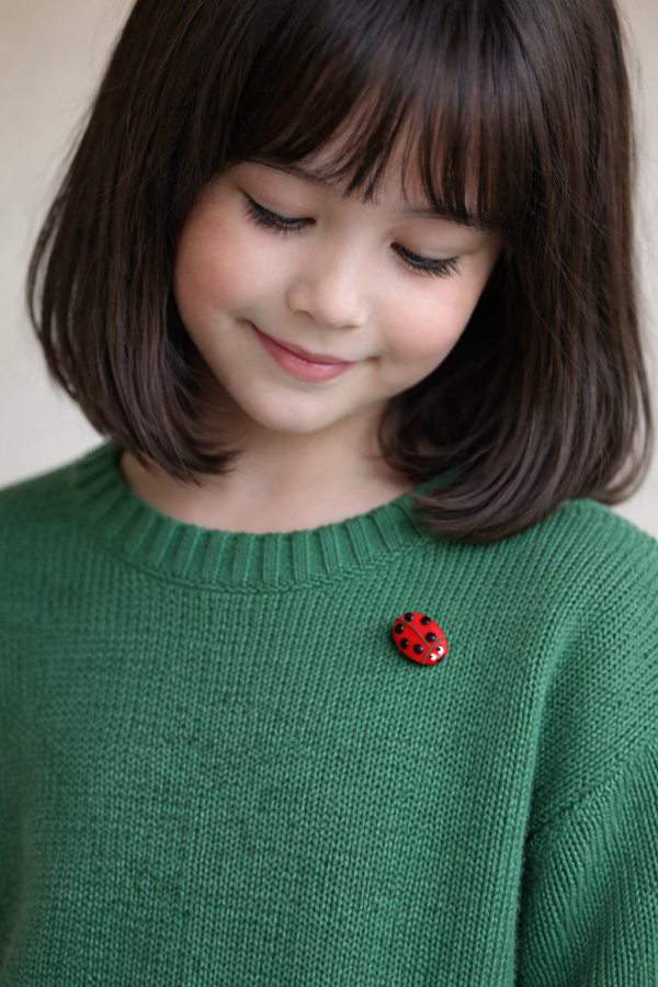 Žaismingas rankų darbo boružėlės segtukas