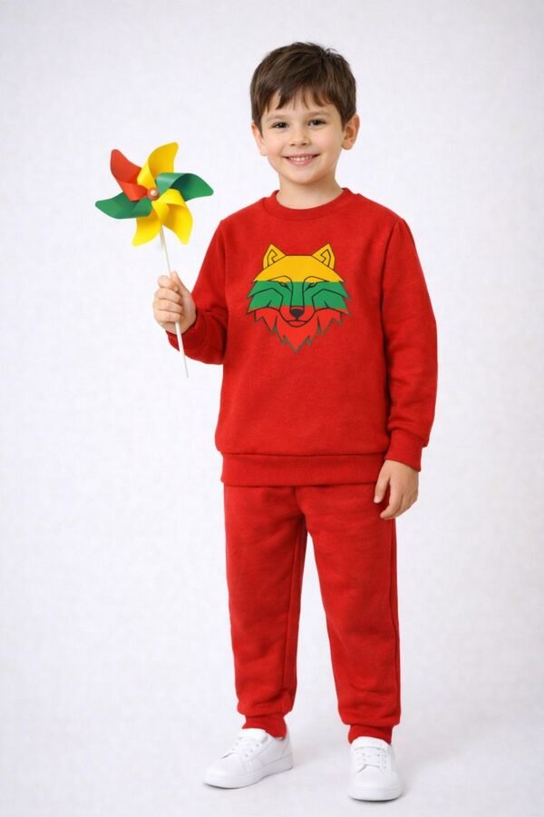 apranga su tautiniais elementais