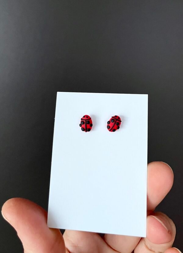 ranku darbo boruzeles